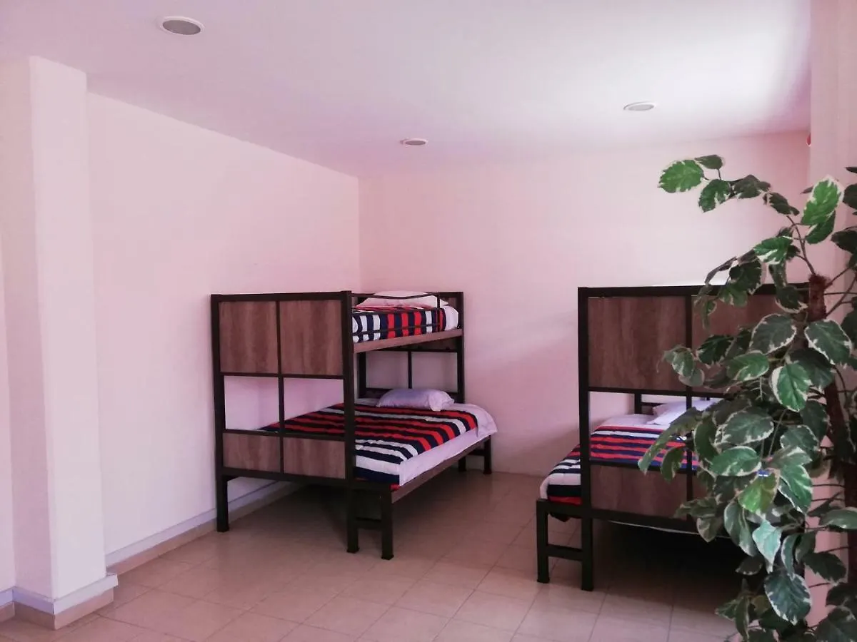 Guest house Urbania Hostels Puebla Mexico